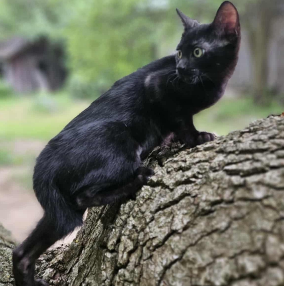 Meet your Posher, Shelly